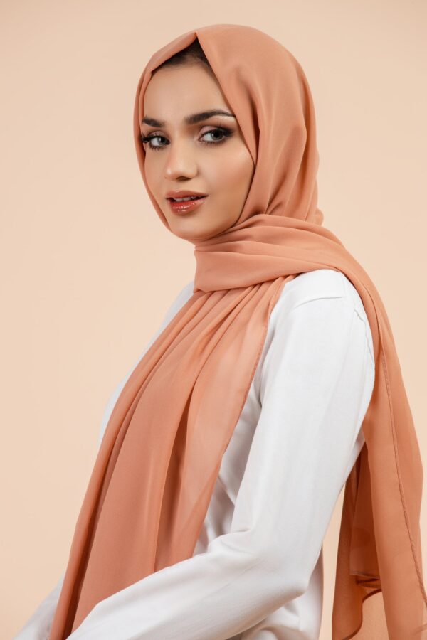 Premium Georgette - Blush - Image 2