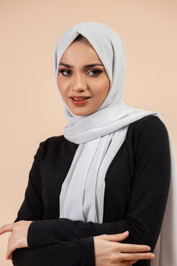 Premium Georgette - Silver Grey - Image 2